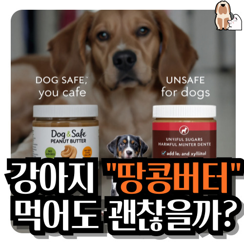 강아지-땅콩버터-먹어도될까요