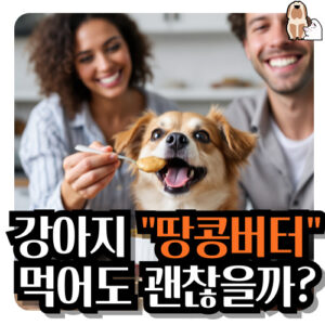 강아지-땅콩버터-먹어도될까요