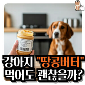 강아지-땅콩버터-먹어도될까요