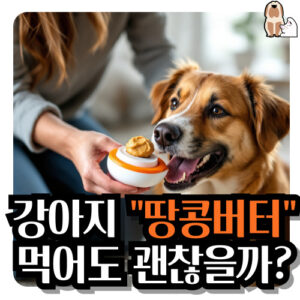 강아지-땅콩버터-먹어도될까요