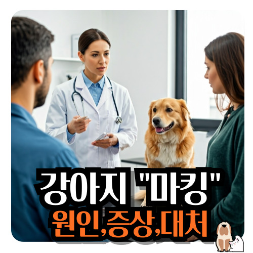 강아지-마킹