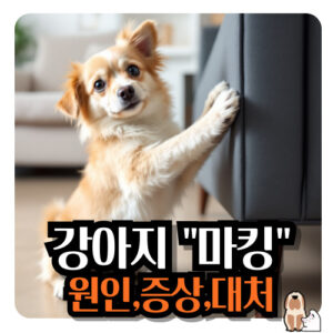강아지-마킹