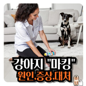강아지-마킹
