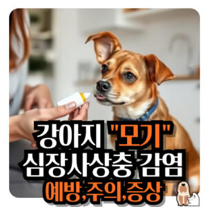 강아지-모기-심장사상충