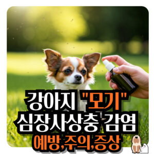 강아지-모기-심장사상충