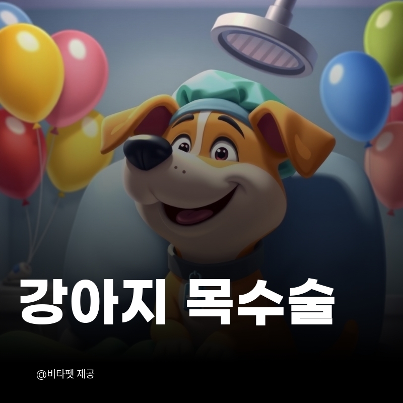 강아지-성대-수술