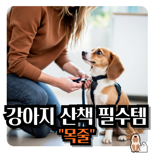 강아지-목줄-산책-필수품