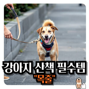 강아지-목줄-산책-필수품