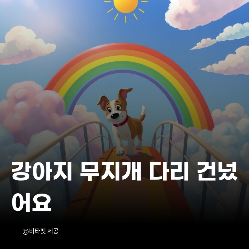 강아지-무지개다리