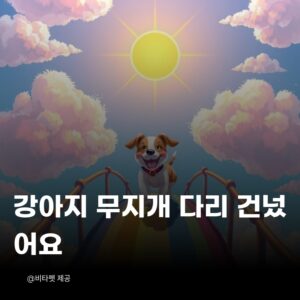강아지-무지개다리