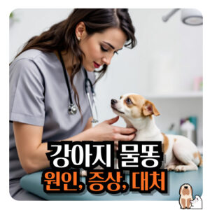 강아지-물똥