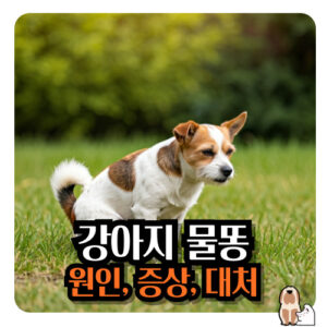 강아지-물똥