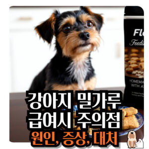 강아지-밀가루-급여시-주의점