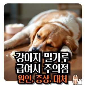 강아지-밀가루-급여시-주의점