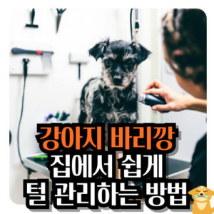 강아지-바리깡