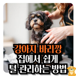 강아지-바리깡