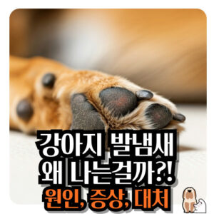 강아지-발-냄새