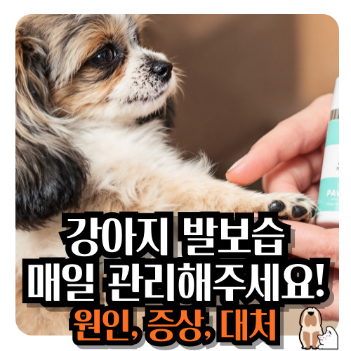 강아지-발바닥-보습