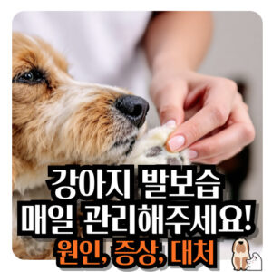 강아지-발바닥-보습