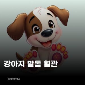 강아지-발톱-혈관