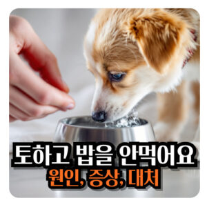 강아지-토