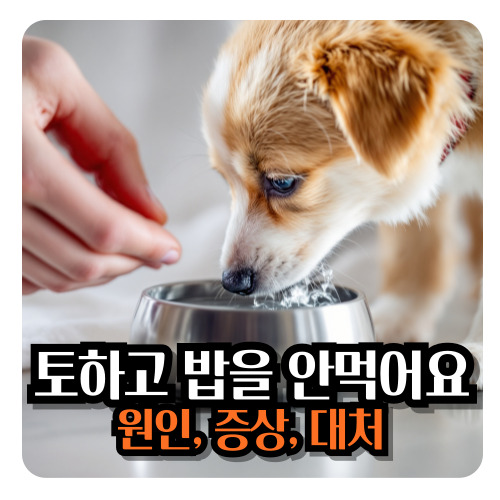 강아지-토