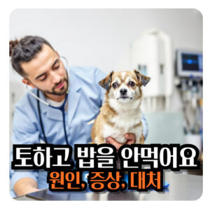 강아지-토