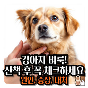 강아지-벼룩