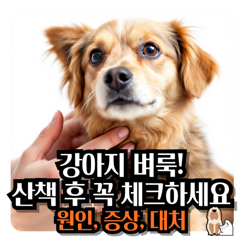 강아지-벼룩