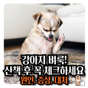 강아지-벼룩