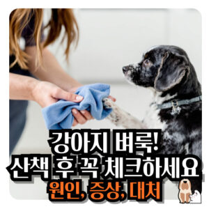 강아지-벼룩