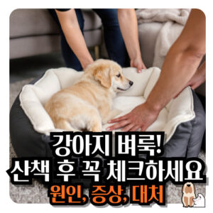 강아지-벼룩