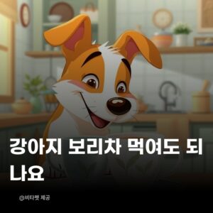 강아지-보리차