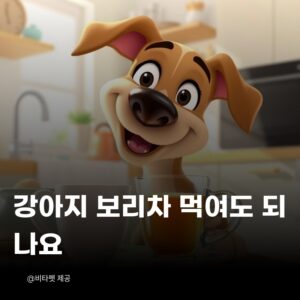 강아지-보리차