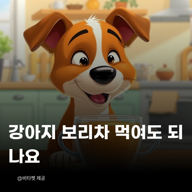 강아지-보리차