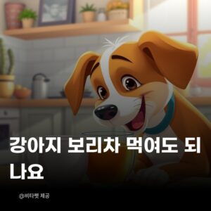 강아지-보리차