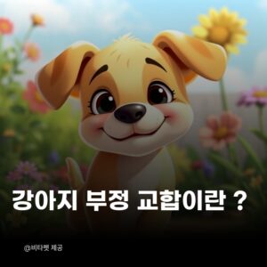 강아지-부정교합