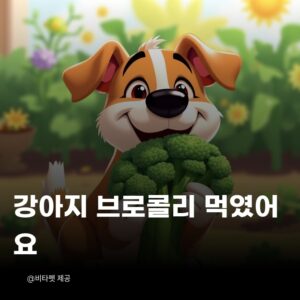 강아지-브로콜리