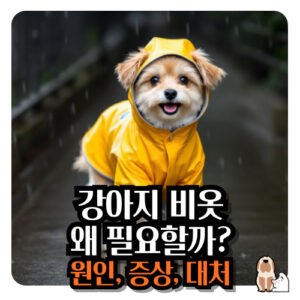 강아지-비옷
