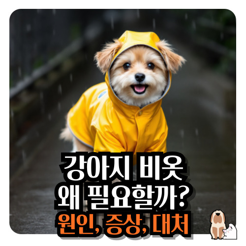 강아지-비옷