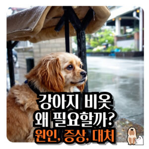 강아지-비옷