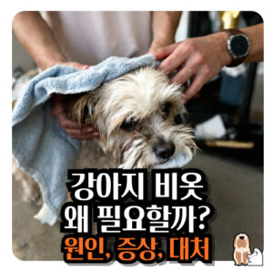 강아지-비옷