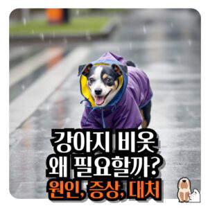 강아지-비옷