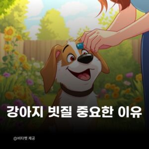 강아지-빗질-중요한-이유