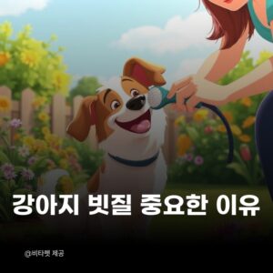 강아지-빗질-중요한-이유