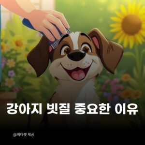 강아지-빗질-중요한-이유
