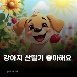 강아지-산딸기