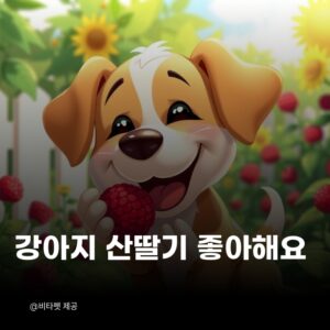 강아지-산딸기