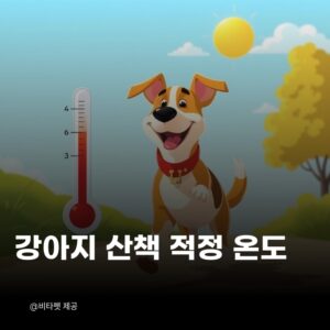 강아지-산책-적정-온도