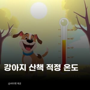 강아지-산책-적정-온도